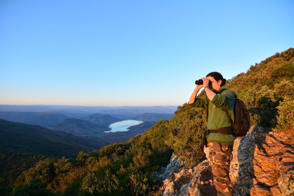 Mathieu Garcia, écologue naturaliste photographe nature indépendant